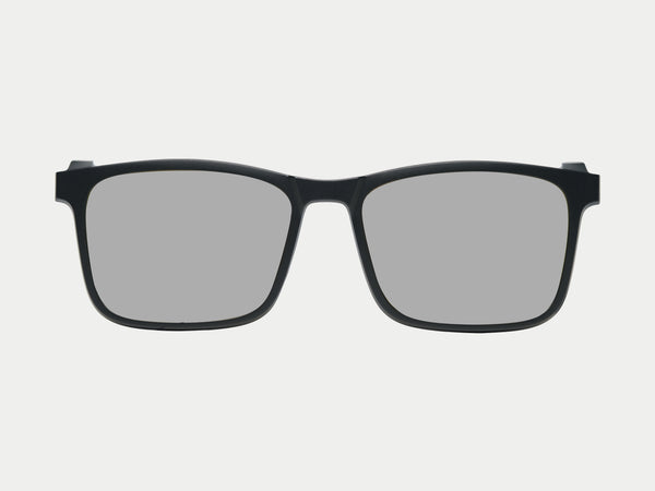 Color_Polarized 3D Lens