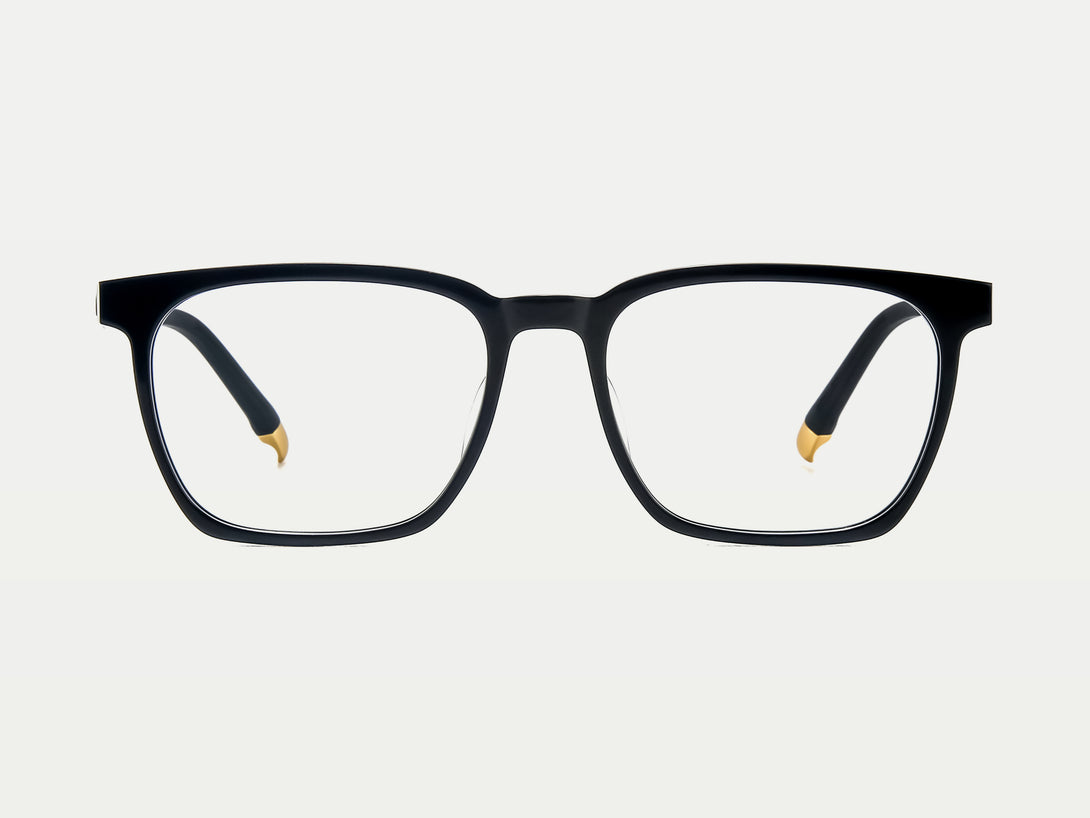 Cecil | Leisure Comfortable Rectangular Acetate Eyeglasses | ZanyLen New Arrival 2024