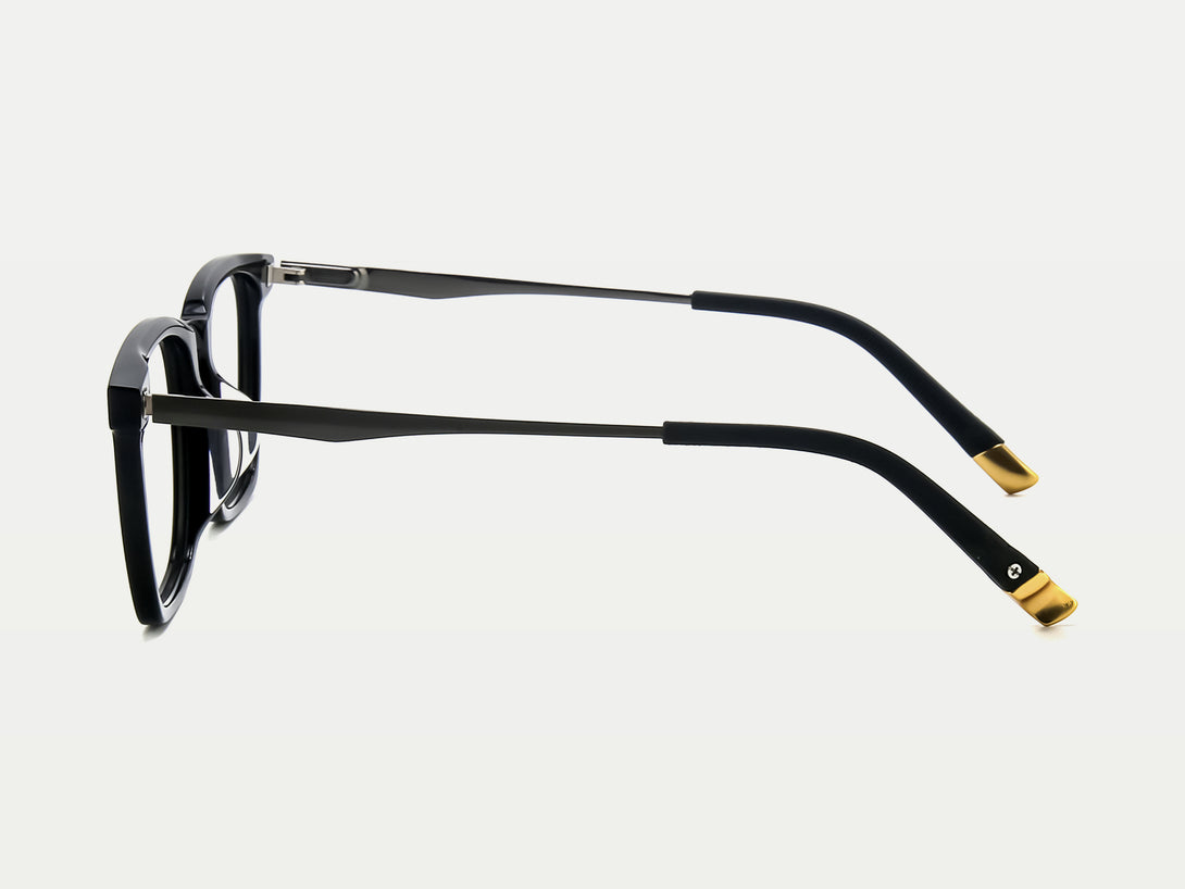 Cecil | Leisure Comfortable Rectangular Acetate Eyeglasses | ZanyLen New Arrival 2024