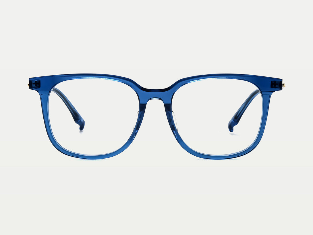 Charles | Classical Square Acetate Eyeglasses | ZanyLen New Arrival