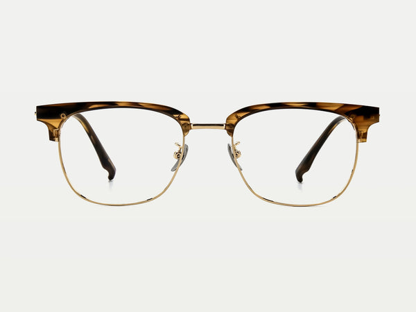 Color_Tortoise Golden