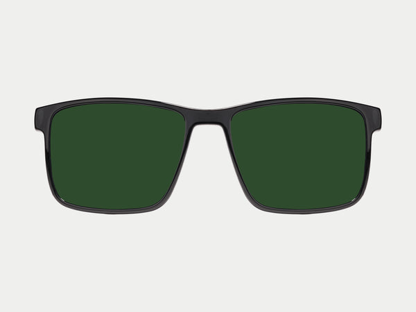 Polarized Green Lens