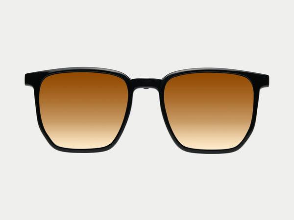 Color_Polarized Brown Lens