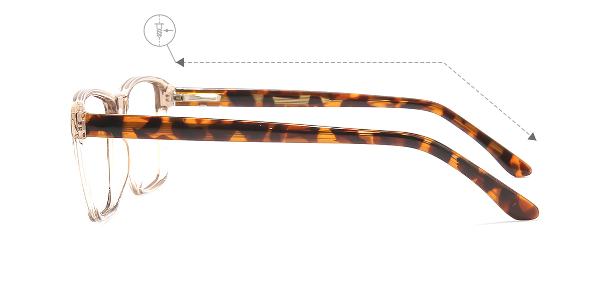 Champagne Tortoise