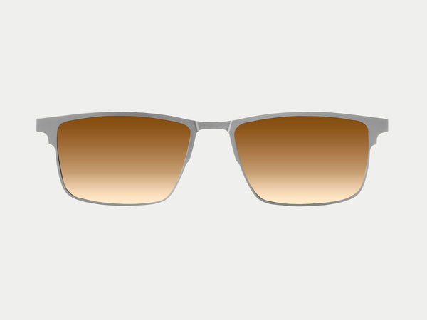 Color_Polarized Brown Lens
