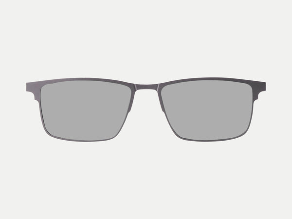 Color_Polarized 3D Lens