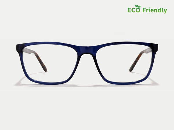 Color_Blue Tortoise