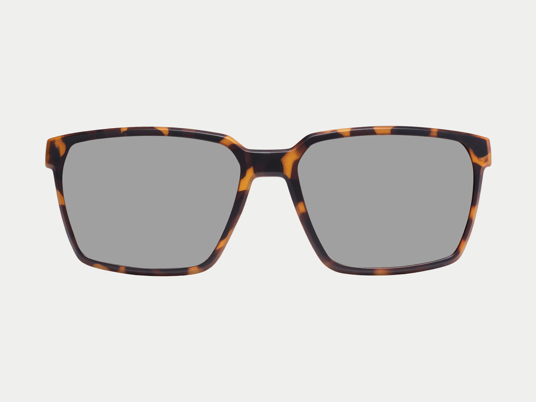 Tate Magnetic Clip-on | Tortoise Frame