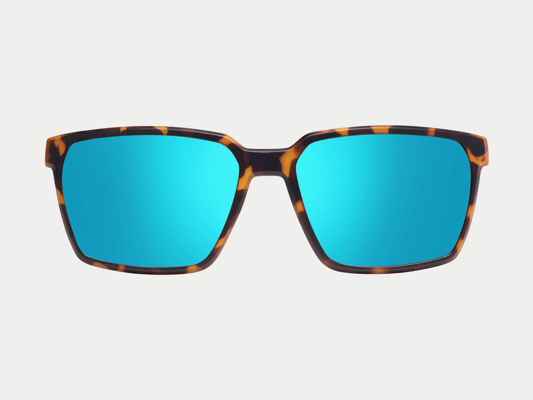 Tate Magnetic Clip-on | Tortoise Frame