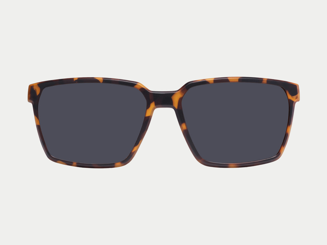 Tate Magnetic Clip-on | Tortoise Frame
