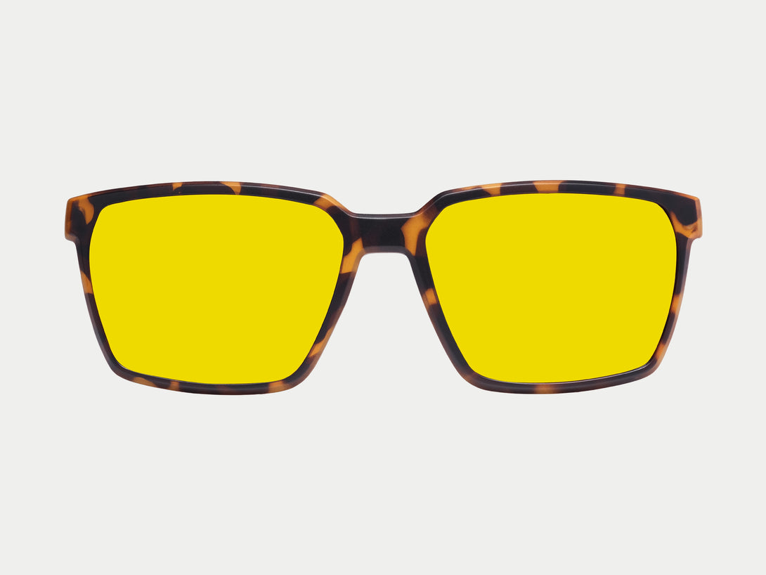 Tate Magnetic Clip-on | Tortoise Frame