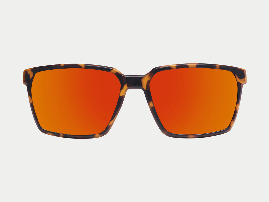 Tate Magnetic Clip-on | Tortoise Frame