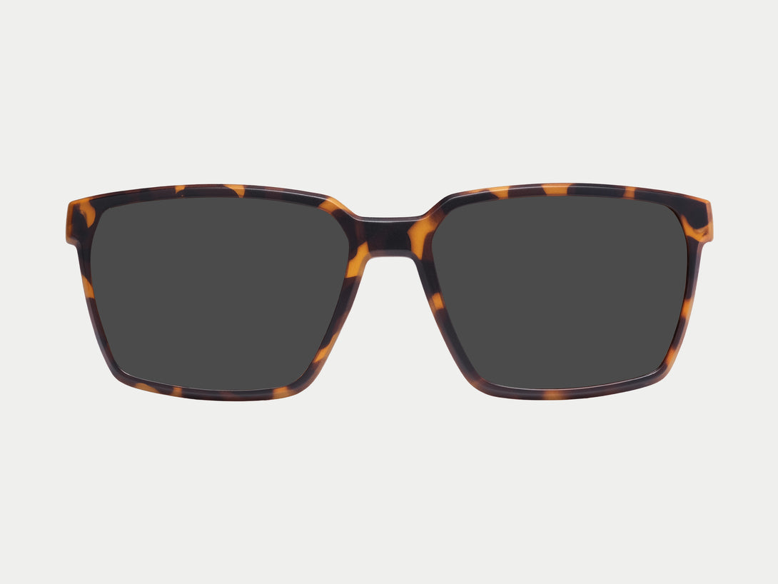Tate Magnetic Clip-on | Tortoise Frame