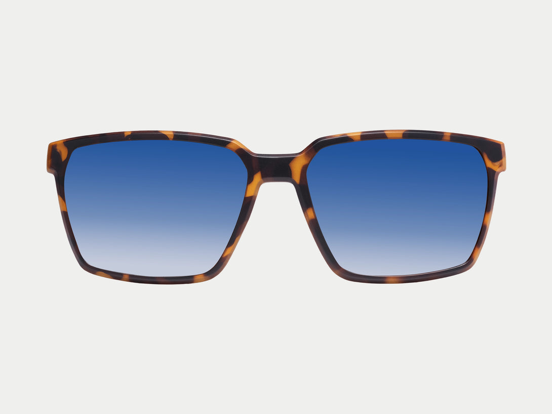 Tate Magnetic Clip-on | Tortoise Frame