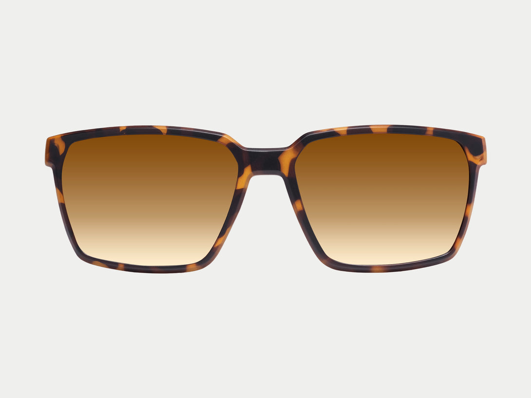 Tate Magnetic Clip-on | Tortoise Frame