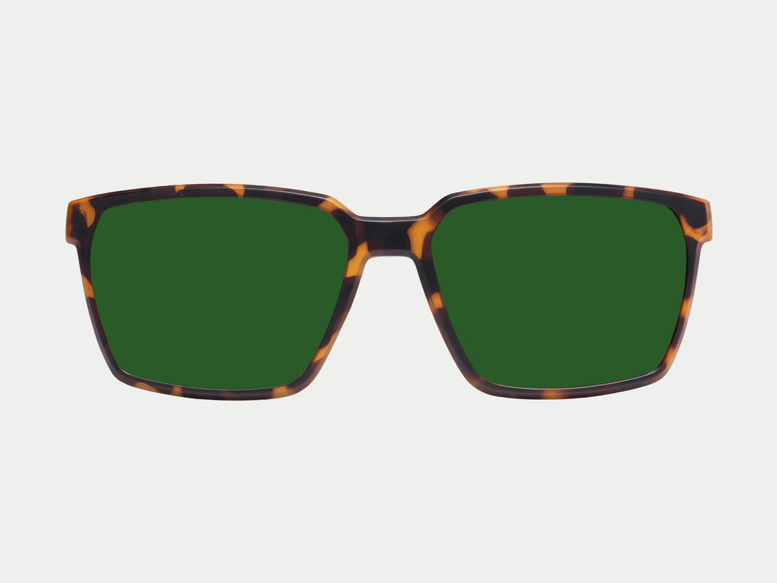 Tate Magnetic Clip-on | Tortoise Frame