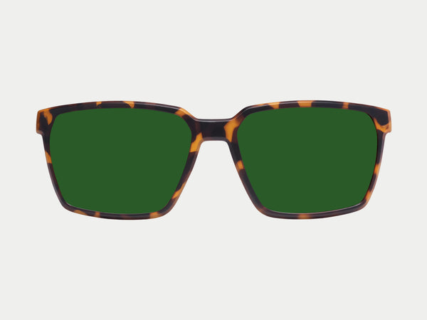 Color_Polarized Green Lens