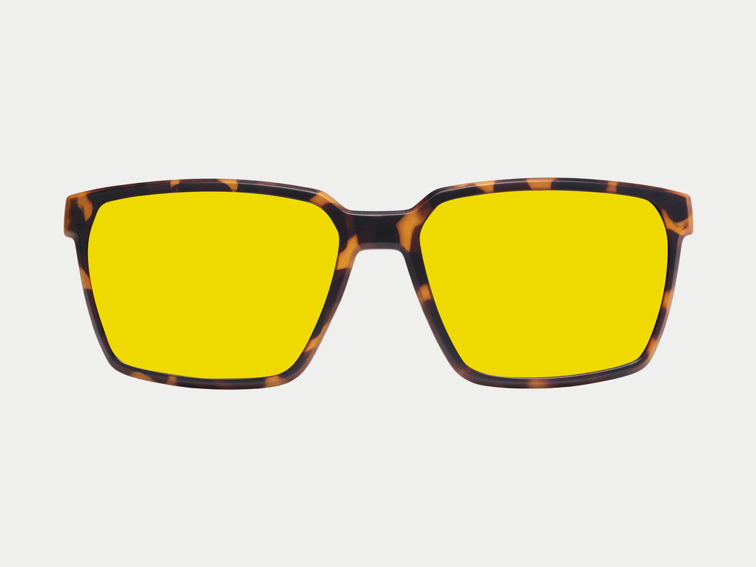 Tate Magnetic Clip-on | Tortoise Frame