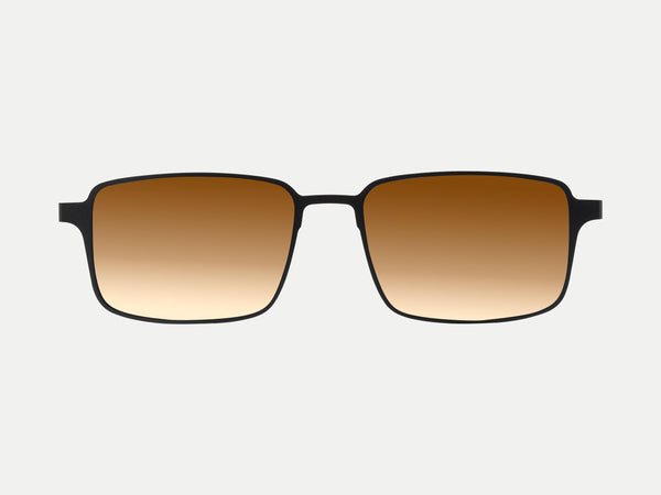 Color_Polarized Brown Lens