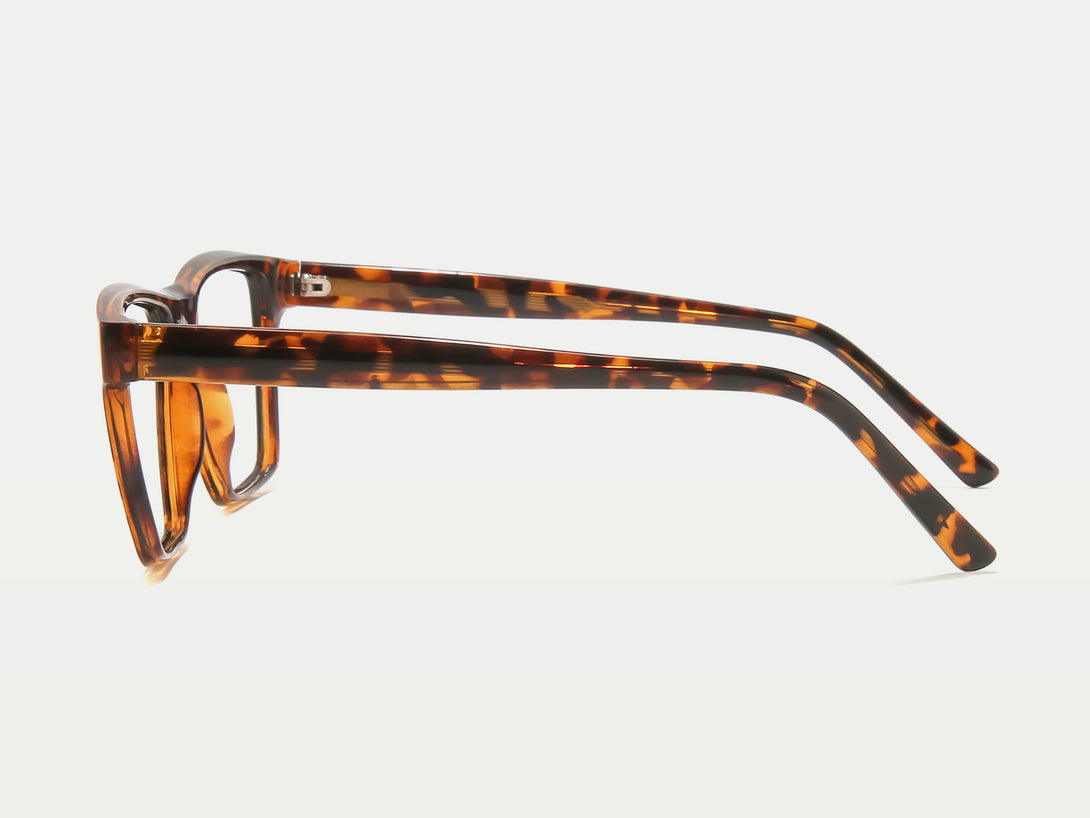 Alston | Flexible Lightweight  Eco-friendly TR90 Rectangular Eyeglasses
