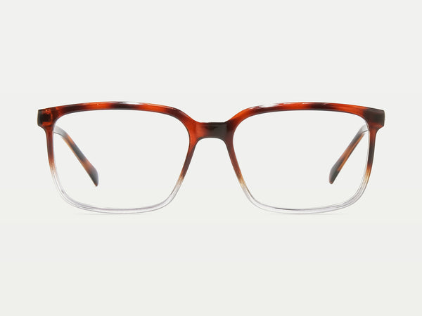 Color_Tortoise