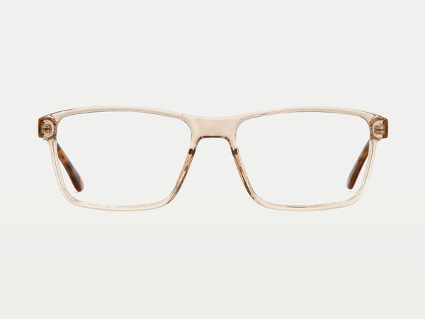 Color_Champagne Tortoise