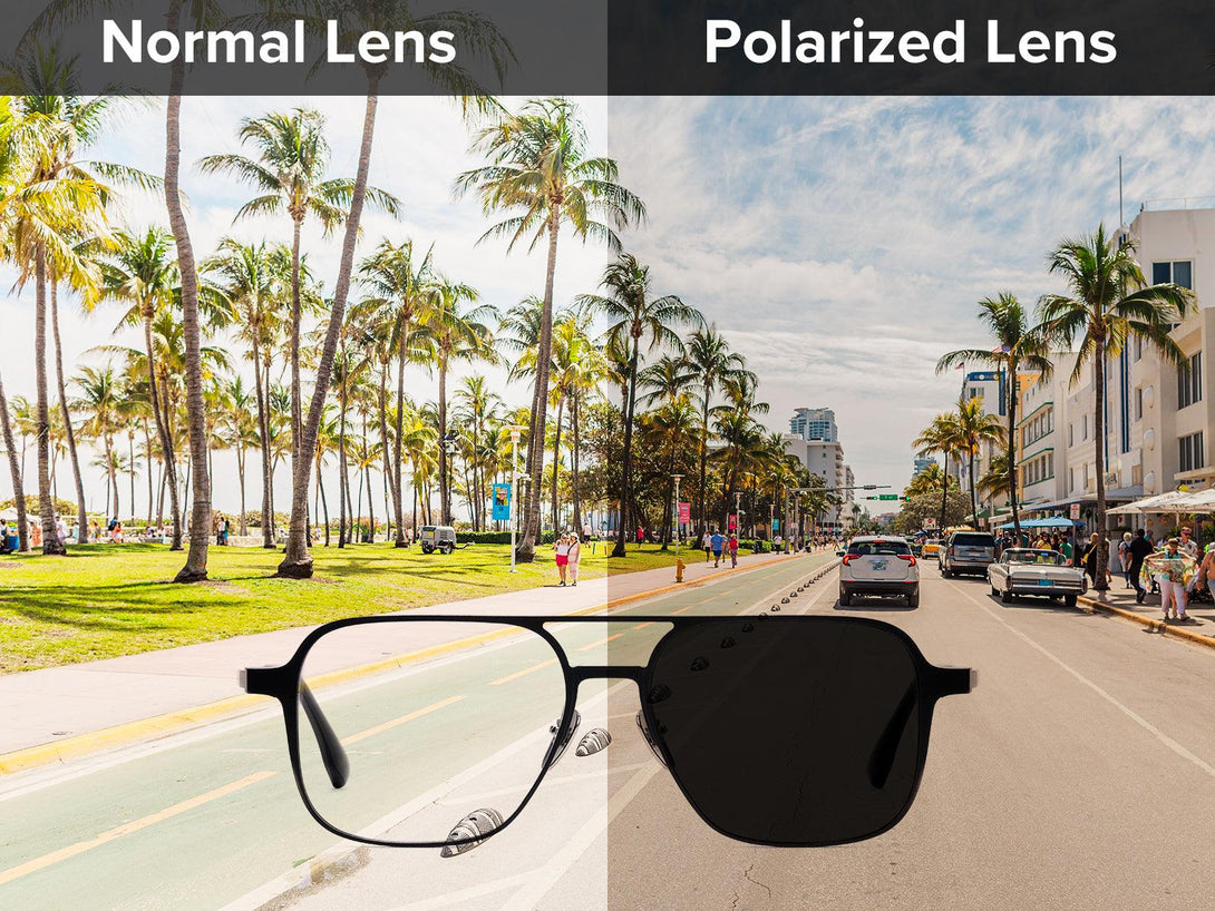 Arnold | Magnetic Clip-on Glasses | ZanyLen New Arrival 2024