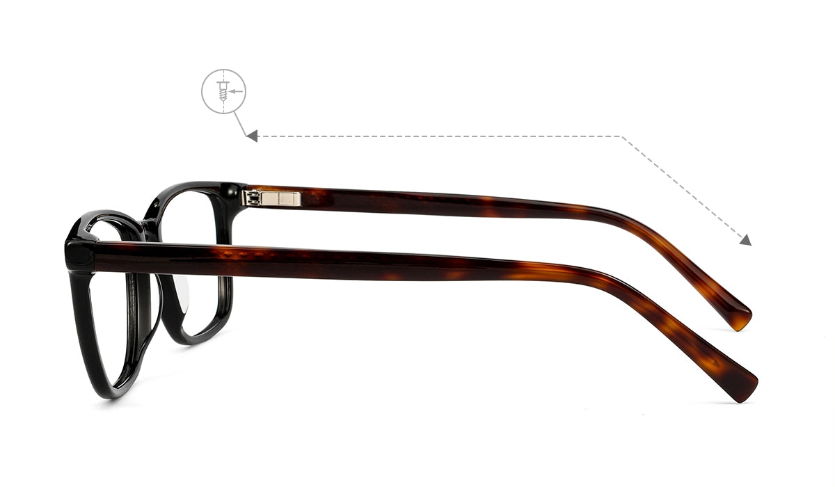 Black Tortoise