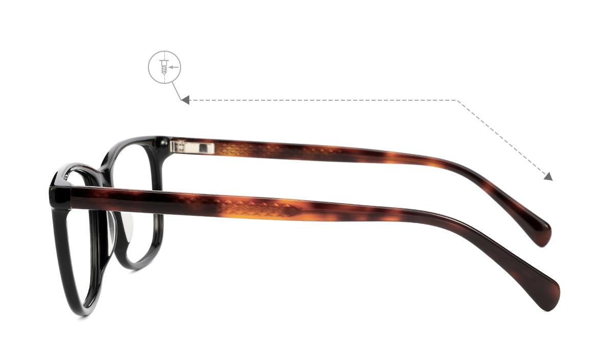 Black Tortoise