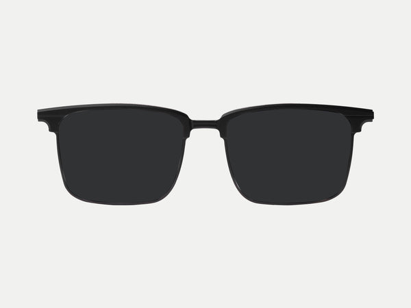 Color_Polarized Black Lens
