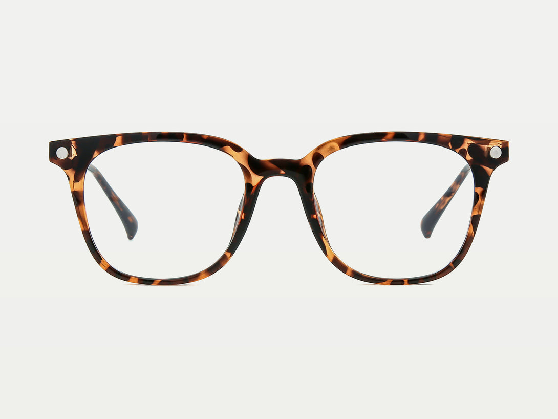 Andie | Magnetic Clip-on Eyeglasses Sunglasses | ZanyLen New