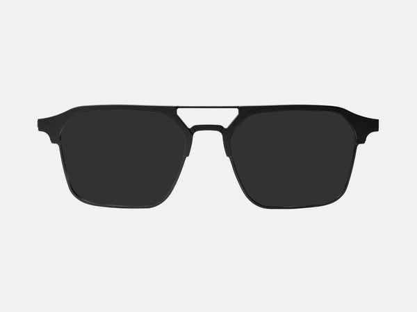 Color_Polarized Black Lens